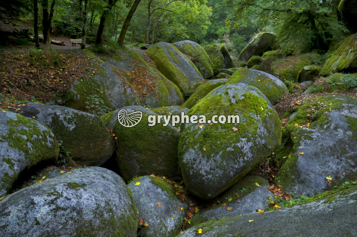 Chaos de rochers (Huelgoat, Bretagne) - gryphea.org
